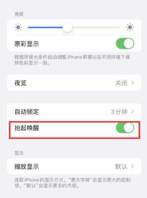 饶阳苹果授权维修站分享iPhone轻点无法唤醒怎么办