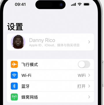 饶阳appleID维修服务iPhone设置中Apple ID显示为灰色无法使用 