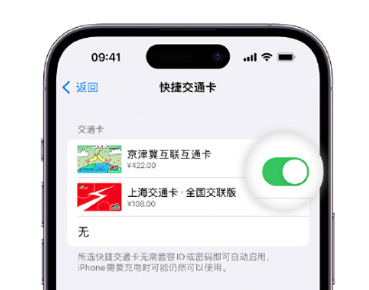 饶阳apple维修点分享iPhone上更换Apple Pay快捷交通卡手绘卡面 