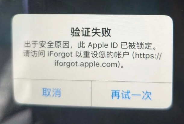 饶阳iPhone维修分享iPhone上正常登录或使用AppleID怎么办 