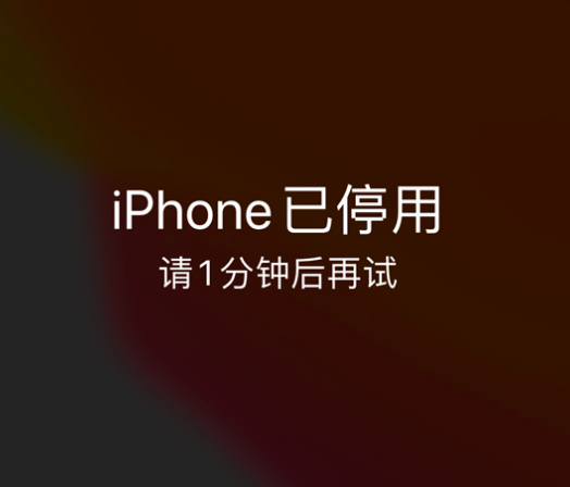 饶阳苹果手机维修分享:iPhone 显示“不可用”或“已停用”怎么办？还能保留数据吗？ 