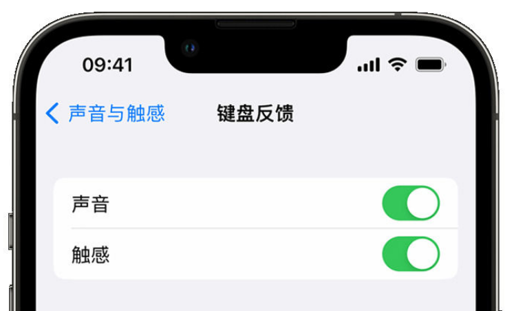 饶阳苹果手机维修分享iPhone 14触感键盘使用方法 