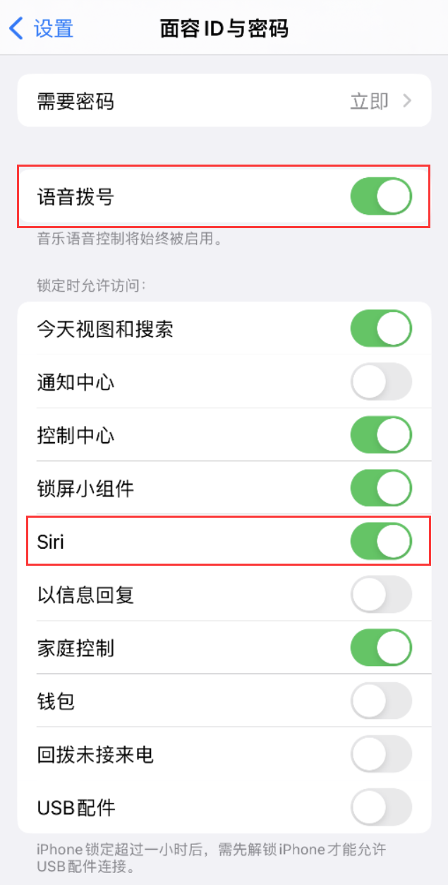 饶阳苹果维修网点分享不解锁 iPhone 的情况下通过 Siri 拨打电话的方法 