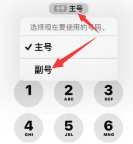 饶阳苹果14维修店分享iPhone 14 Pro Max使用副卡打电话的方法 