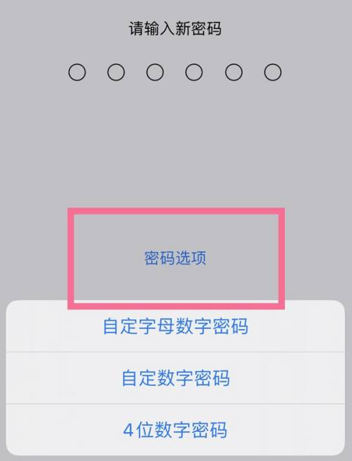 饶阳苹果14维修分享iPhone 14plus设置密码的方法 