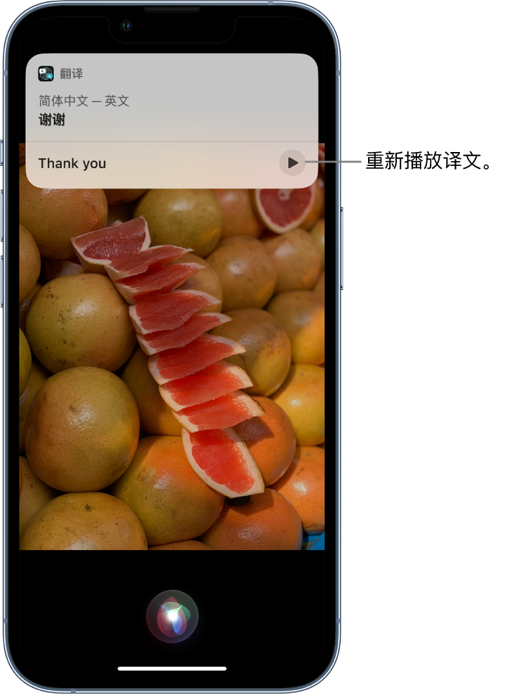 饶阳苹果14维修分享 iPhone 14 机型中使用 Siri：了解 Siri 能帮你做什么 