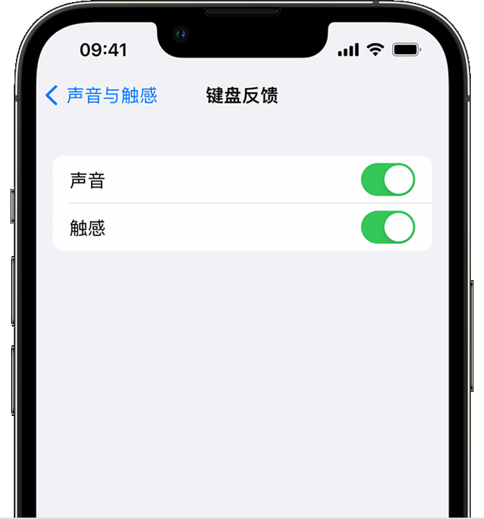 饶阳苹果14维修分享iPhone 14 系列机型如何开启键盘声音或触感反馈 