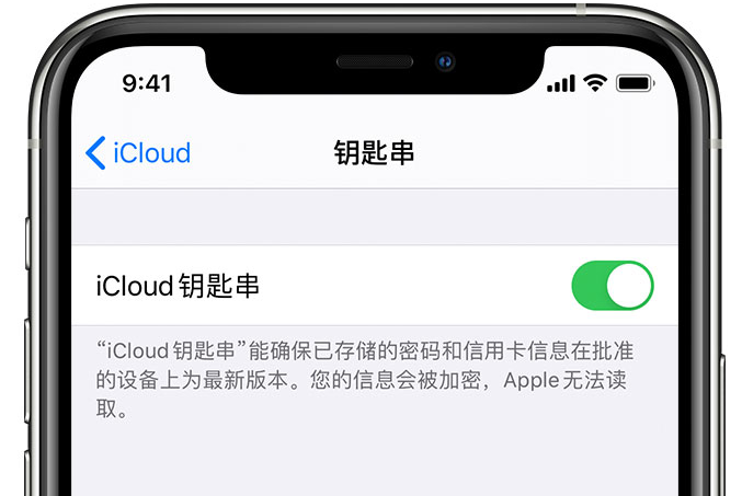 饶阳苹果手机维修分享在 iPhone 上开启 iCloud 钥匙串之后会储存哪些信息 