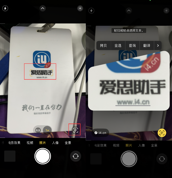 饶阳苹果手机维修分享升级iOS 16后如何通过相机翻译文本 