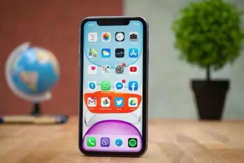 饶阳苹果手机维修分享升级iOS16屏幕失灵解决办法 