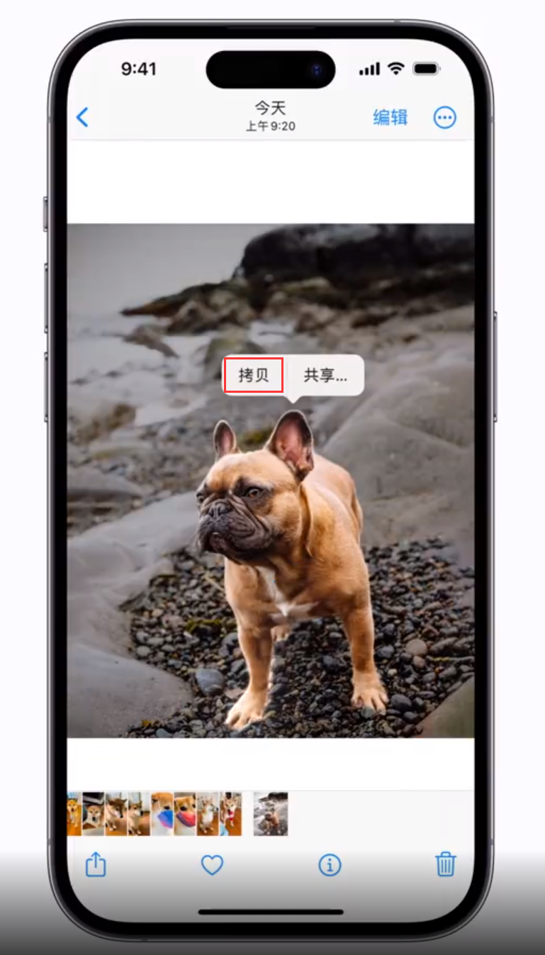 饶阳苹果手机维修分享 iOS 16 自带一键抠图功能 
