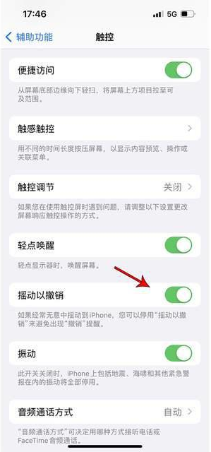 饶阳苹果手机维修分享iPhone手机如何设置摇一摇删除文字 