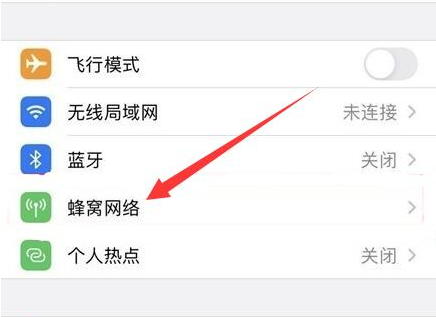 饶阳苹果手机维修分享iPhone手机4G网络怎么设置成5G网络 