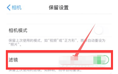 饶阳苹果13维修分享iPhone13拍照有绿点是怎么回事 