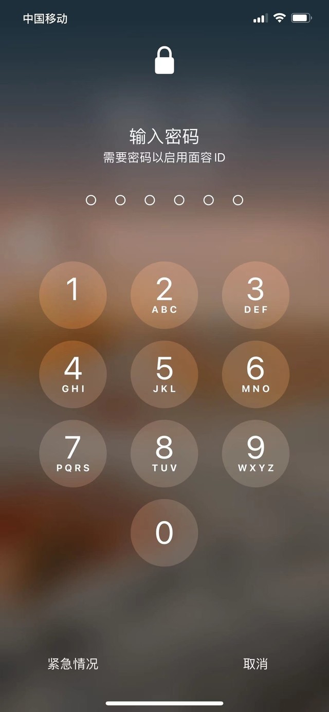 饶阳苹果13维修分享iPhone 13加强锁屏功能有什么用 