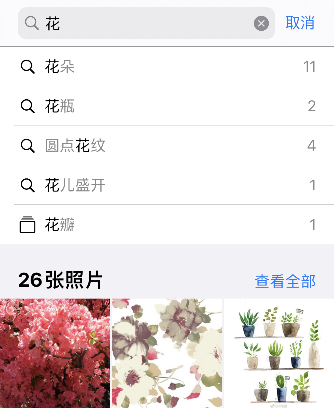 饶阳苹果手机维修分享iPhone 小技巧 