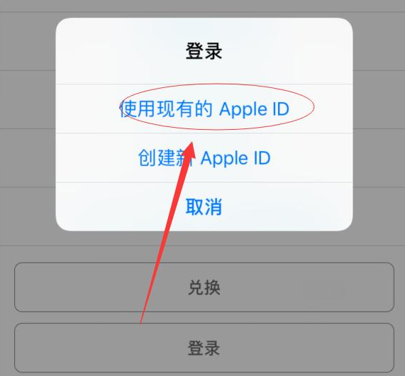 饶阳苹果手机维修分享两台iPhone设备可以同时登录一个Apple ID吗 