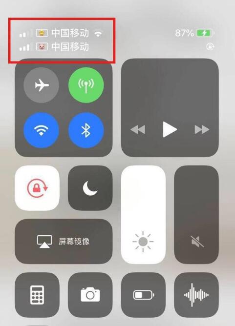 饶阳苹果手机维修分享为 iPhone 12 双卡设置标签 