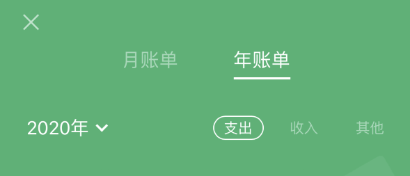 饶阳苹果手机维修分享如何在 iPhone 上查看支付宝和微信年支出账单 